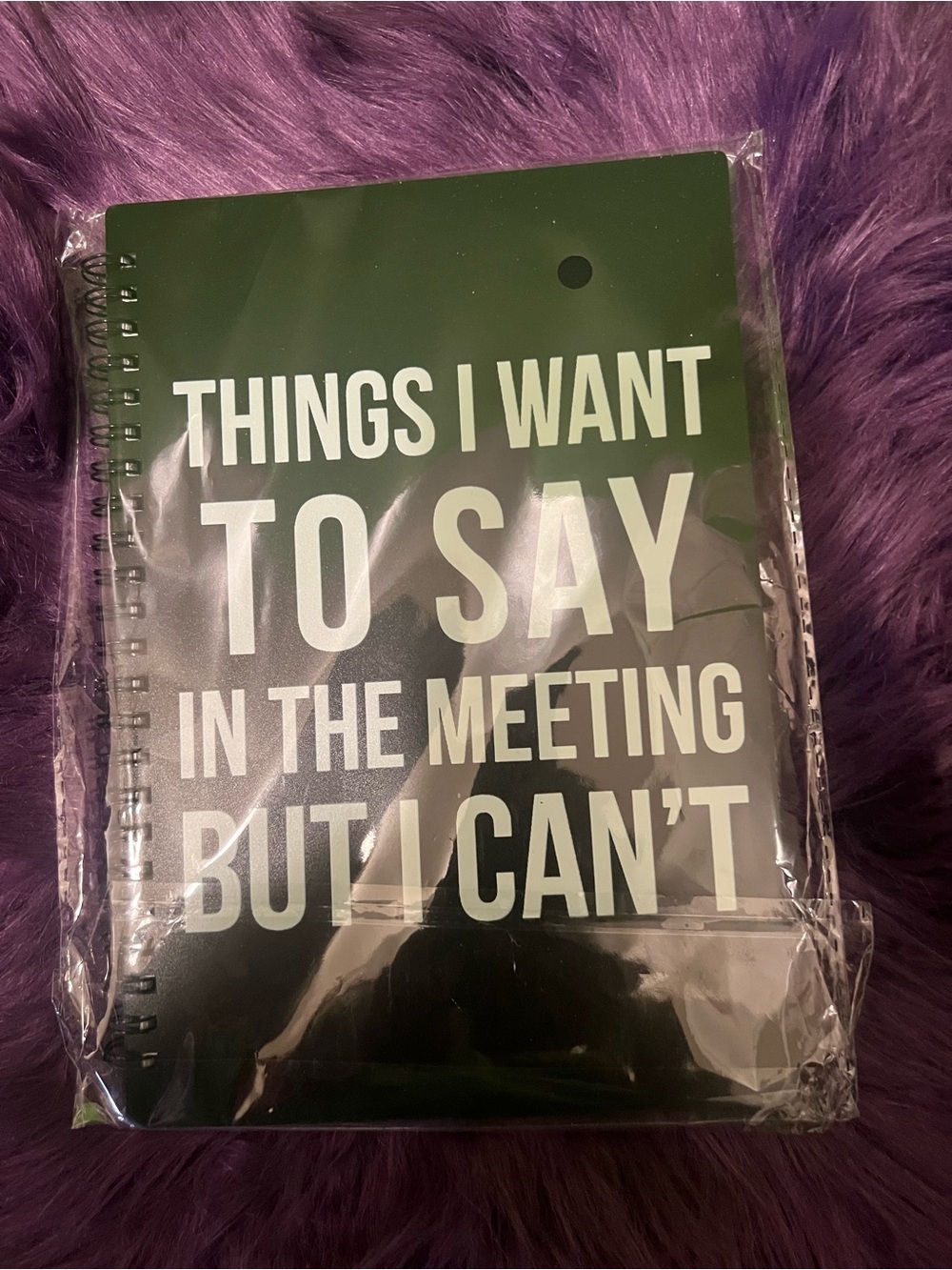 Novelty Spiral Notebook "Things I Want To Say" - Black & White